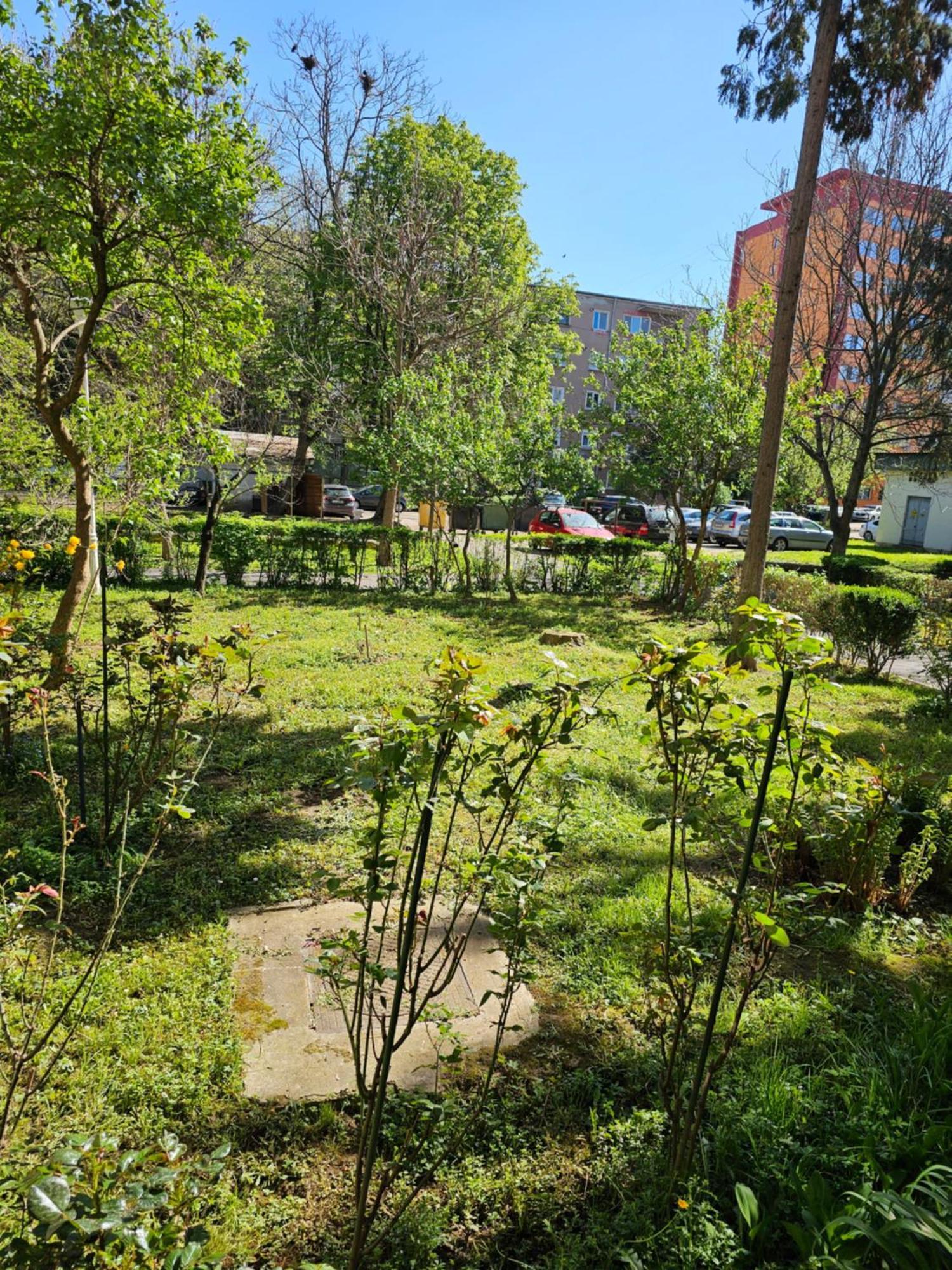 Apartament Alina Deva Eksteriør bilde